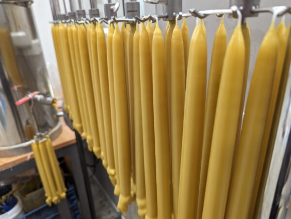 Hand Dipped Beeswax Candles | Dinner Candles