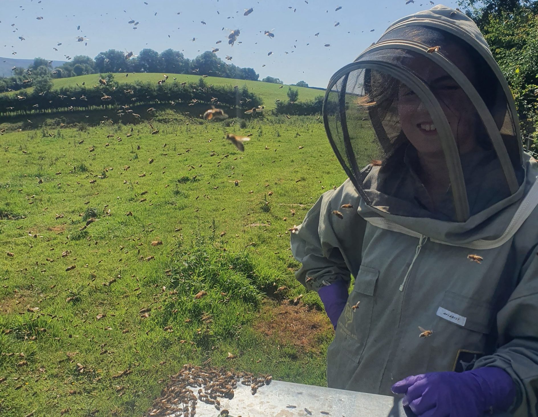 bee farmers apprenticeship | Rowse Honey Apprenticeship