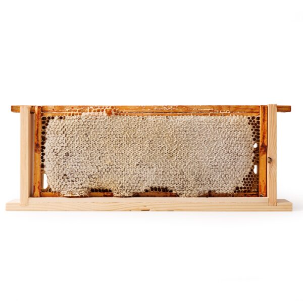Full Frame of Honey Inside Box