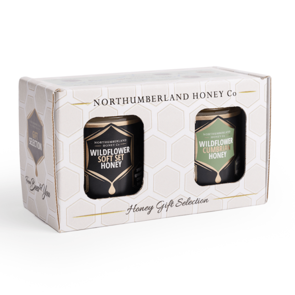Explorers Honey Gift Set | 2 Honey Jar Gift Set 340g Round Jar