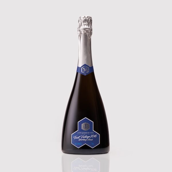 First Vintage 2016 Sparkling Mead