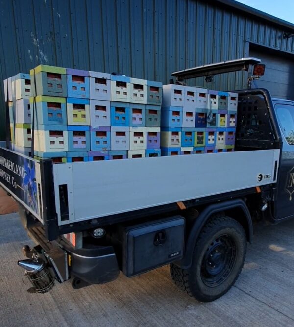 Pallet of Apideas on Truck