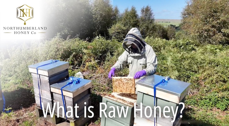 What is Raw Honey Menu Link