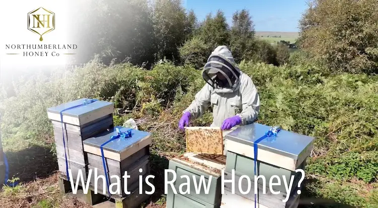 What is Raw Honey Menu Link
