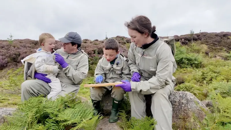 Hutch Family Honey | Northumberland Honey