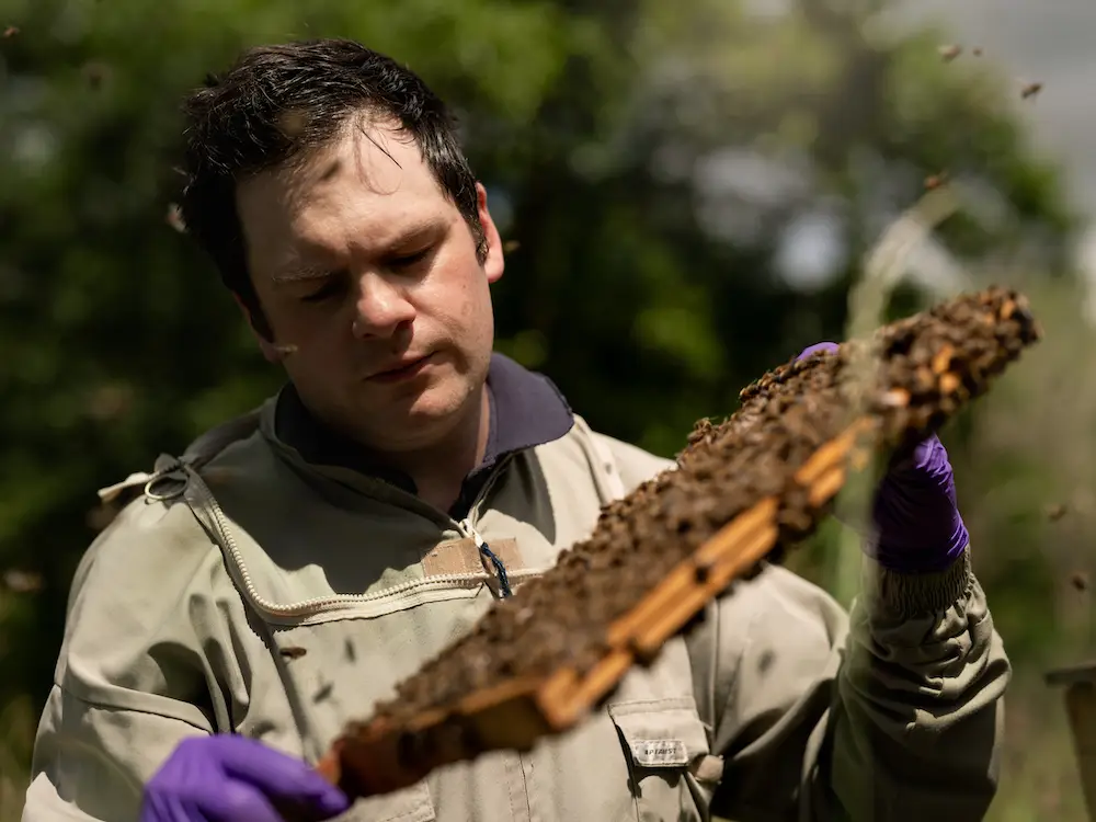 Luke Hutchinson | British Bee Farmer