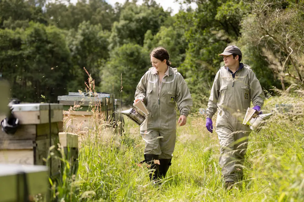 British Honey & UK Honey – Produced by British Bee Farmers