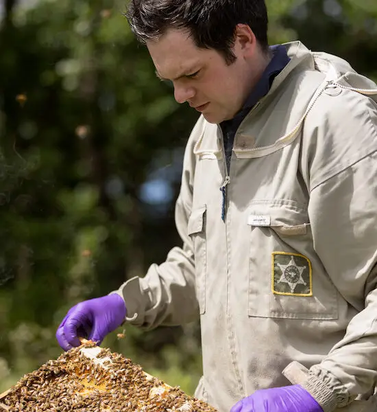 Luke Hutch inspecting bees