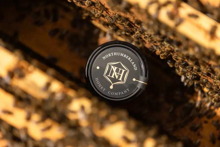 what is raw honey the importance of labelling and the honey regulations