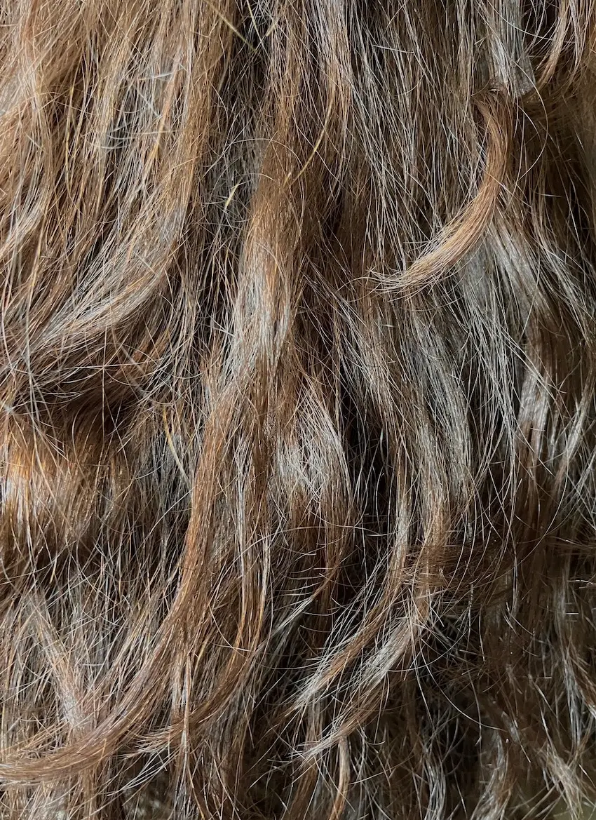 Naturally curly hair showing curl definition and texture