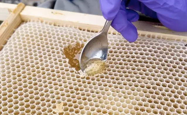 What is Raw Honey