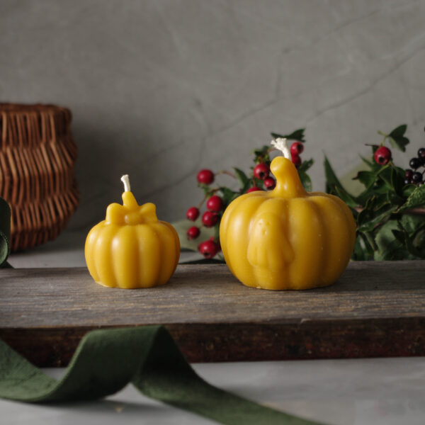 Beeswax pumpkin candle pair made with pure beeswax