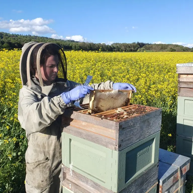 Bee Farmers Apprenticeship Press Release