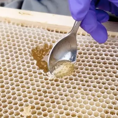 Honey Adulteration and Honey Fraud Press Release