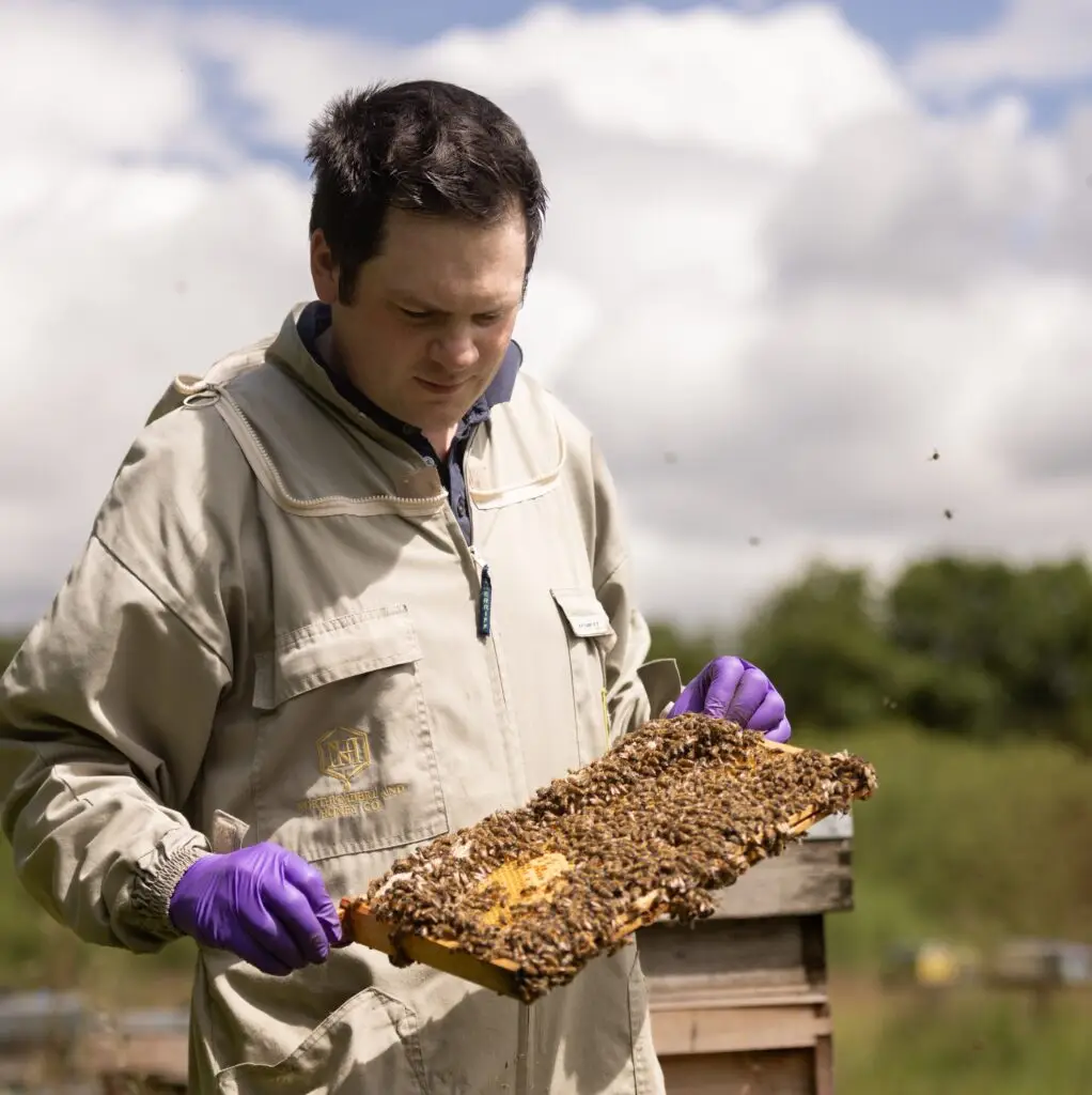 Back British Honey | National Honey Day 2026 Press Release