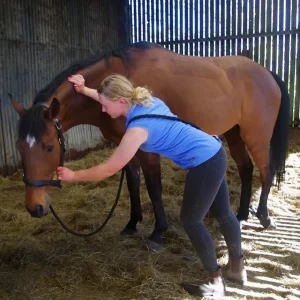 Ella Pigg Equine Therapy