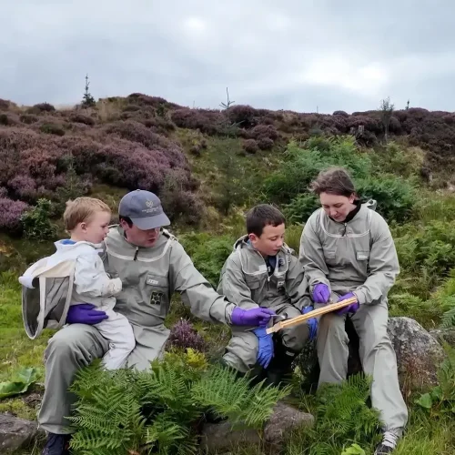 Honey Image Shop Hutchinson Family Beekeepers